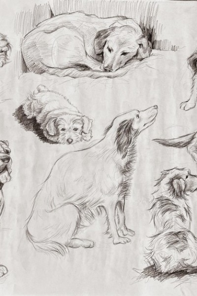 Şişli Sanat Kursu: Resim, Heykel, Seramik, Piyano, Keman Kursu ve Workshop